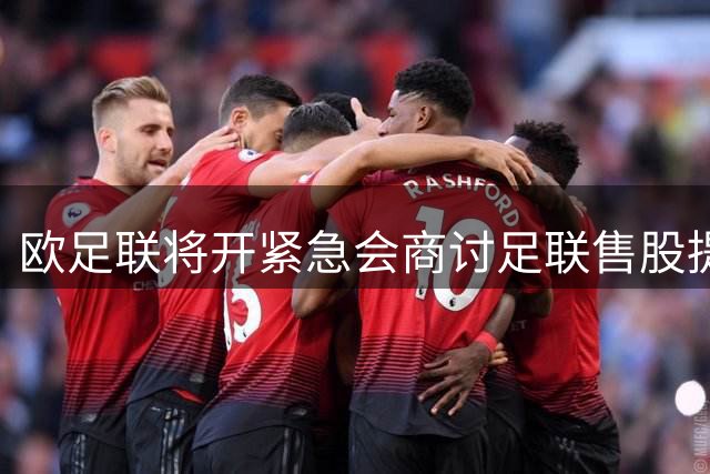 欧足联将开紧急会商讨足联售股提案